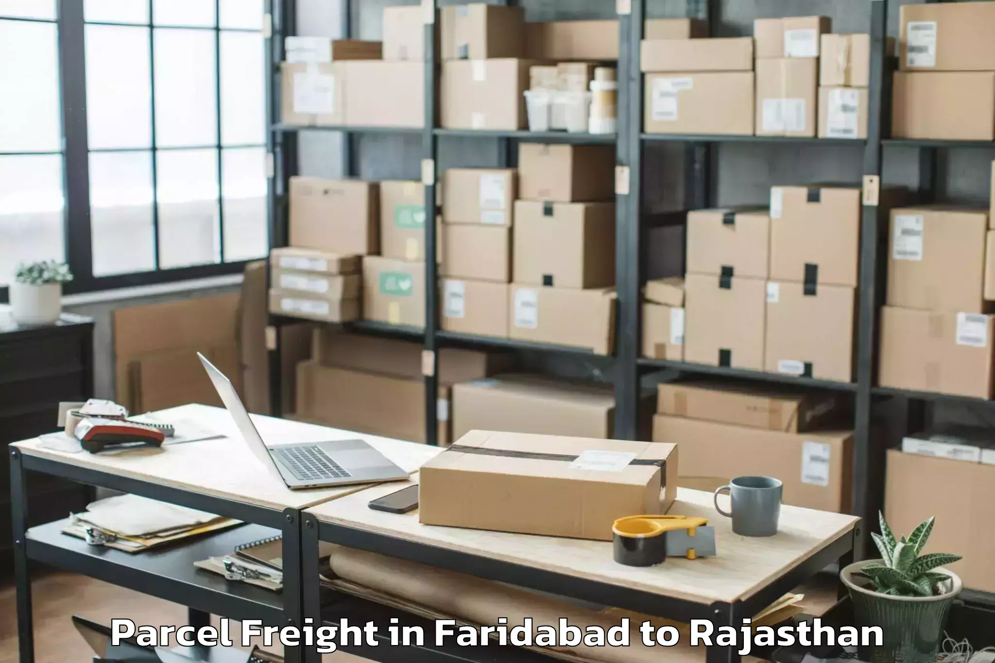 Quality Faridabad to Jhadol Parcel Freight